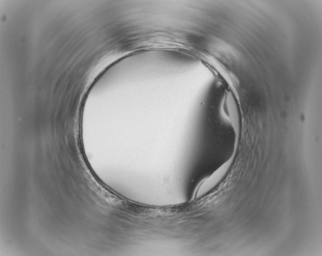 X0000087391195200705111753