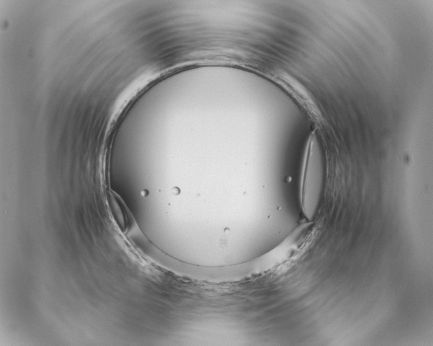 X0000087391196200705111753