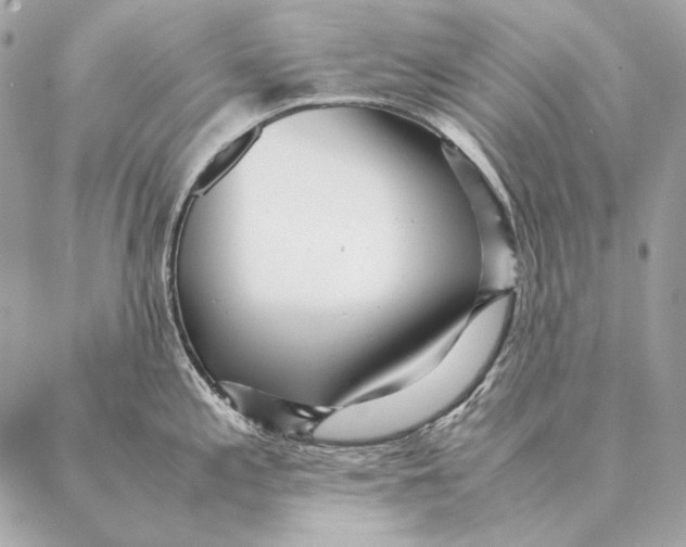 X0000087391197200705111753