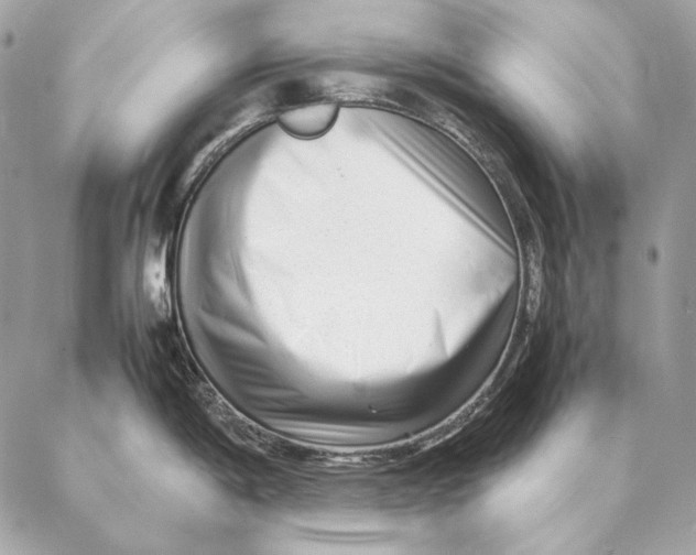 X0000087391198200705111753