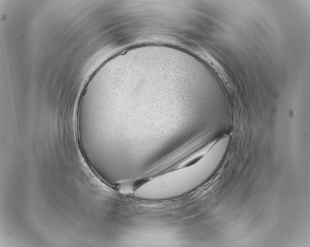 X0000087391199200705111753