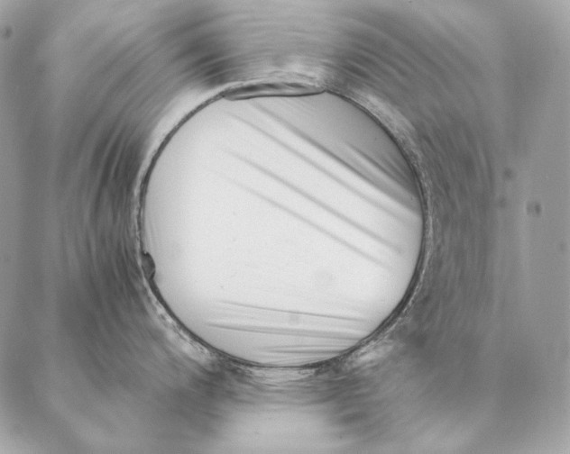 X0000087391200200705111753