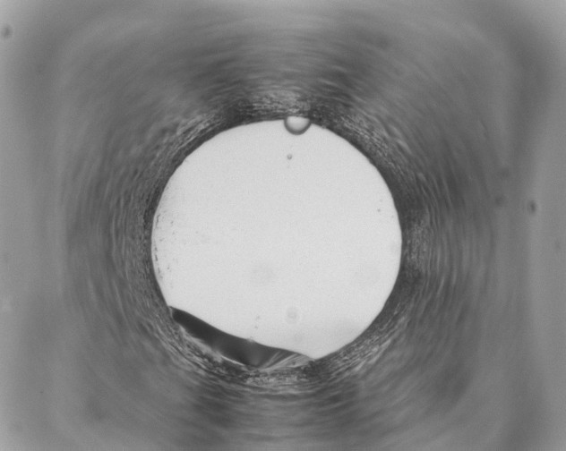 X0000087391201200705111752