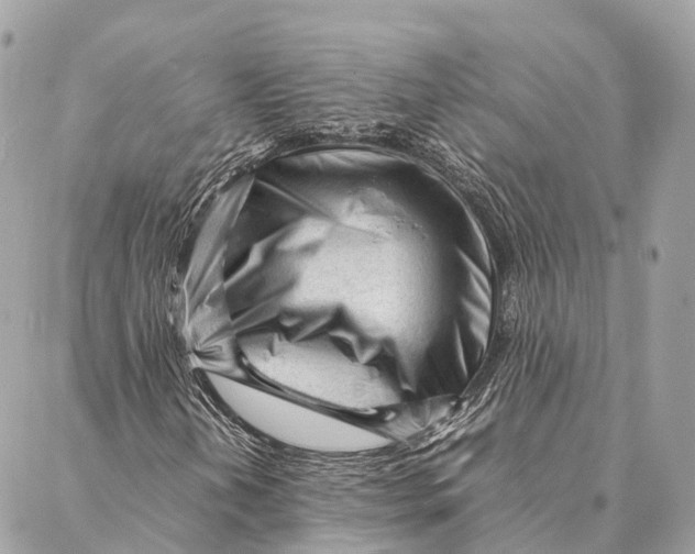 X0000087391202200705111752