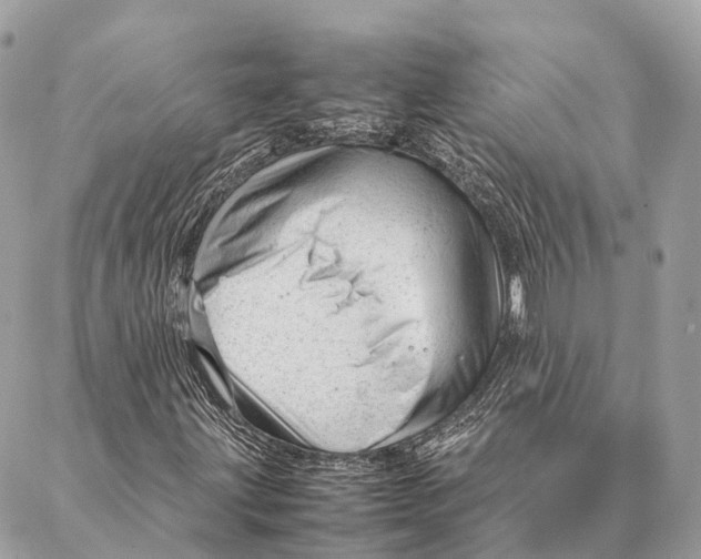 X0000087391203200705111752