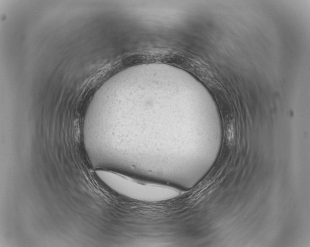 X0000087391204200705111752