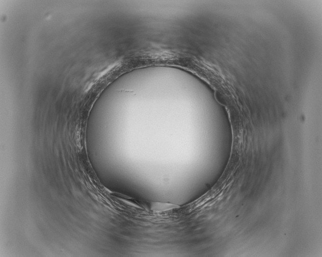 X0000087391205200705111752