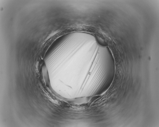 X0000087391206200705111752