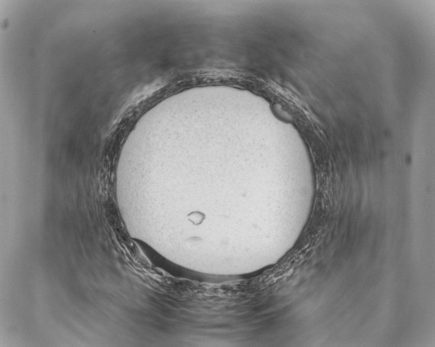 X0000087391207200705111752