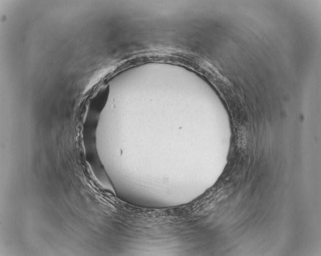 X0000087391208200705111752