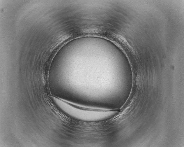 X0000087391209200705111752