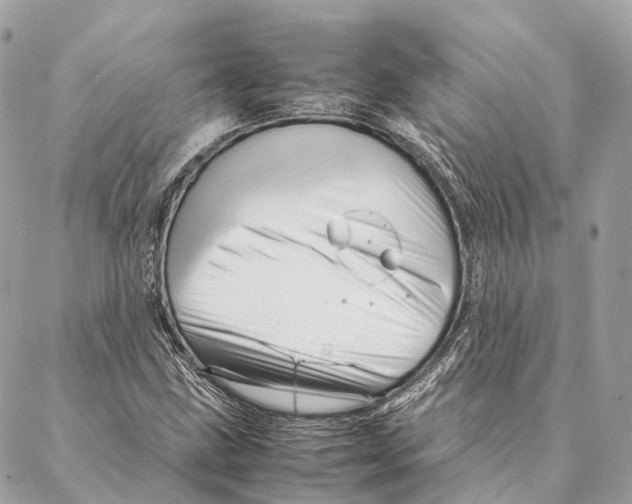 X0000087391211200705111752