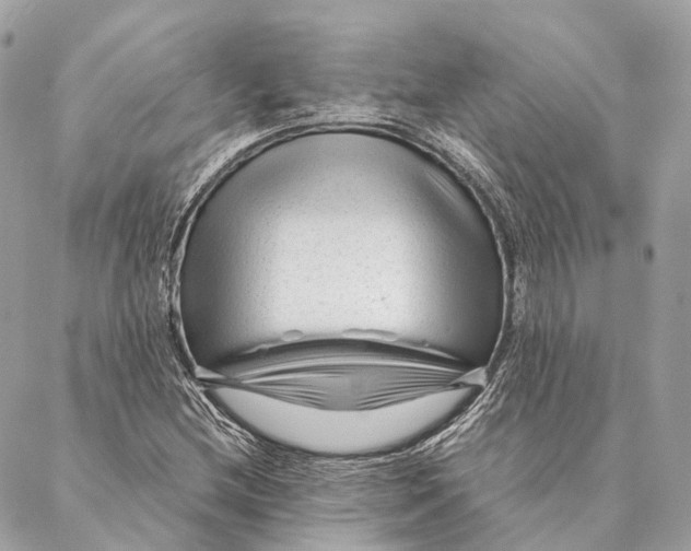 X0000087391212200705111752