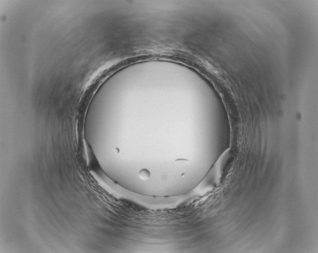 X0000087391214200705111752