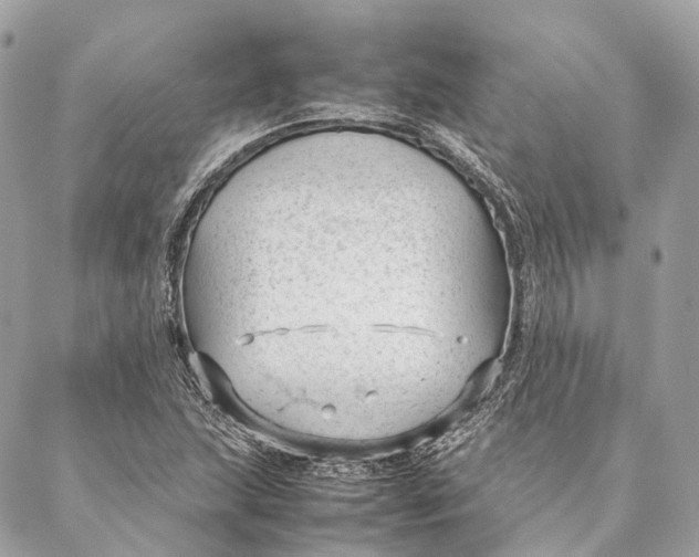 X0000087391215200705111752