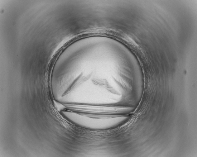 X0000087391216200705111752