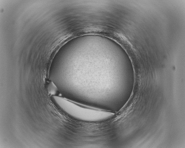 X0000087391217200705111752