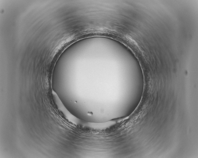 X0000087391218200705111752