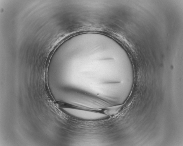 X0000087391220200705111752