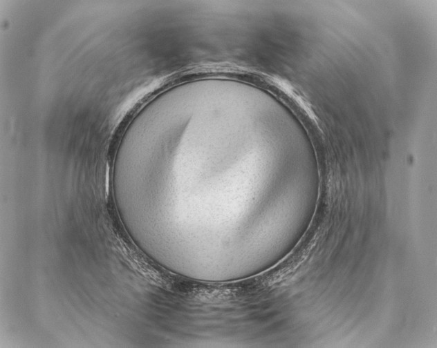 X0000087391221200705111752