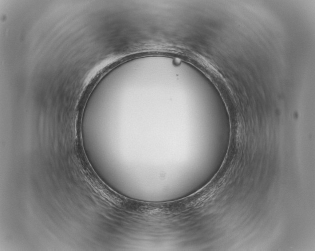 X0000087391222200705111752