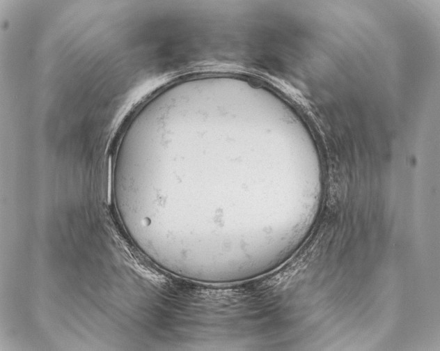 X0000087391223200705111752