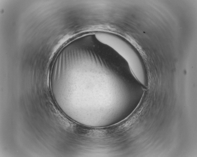 X0000087391224200705111752