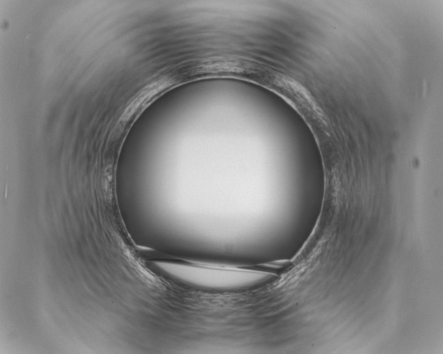 X0000087391225200705111752