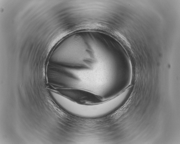 X0000087391226200705111752