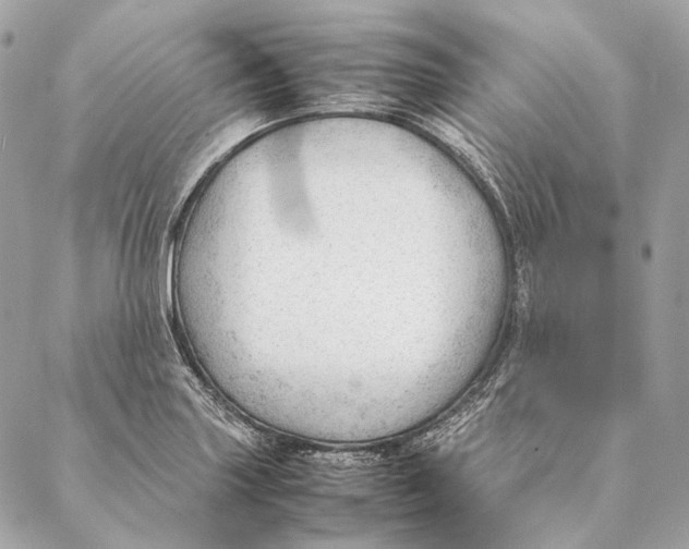 X0000087391227200705111752