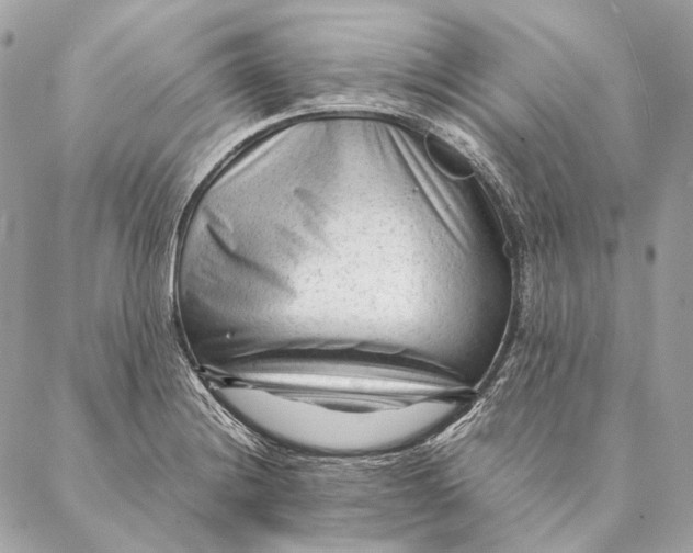 X0000087391228200705111752