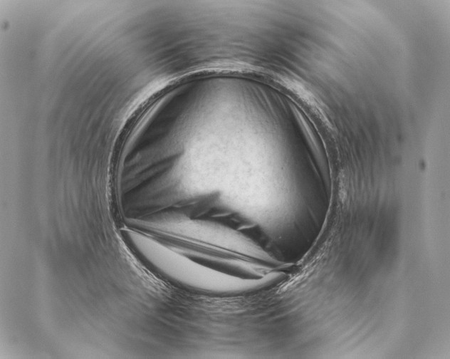 X0000087391229200705111752