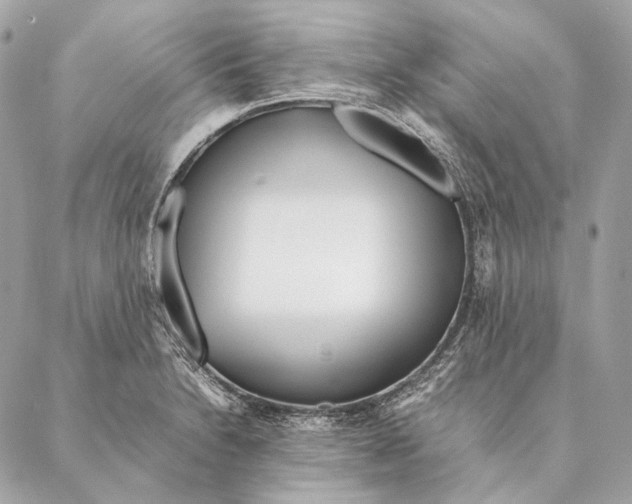 X0000087391230200705111752