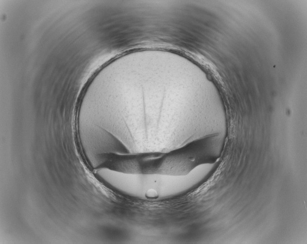 X0000087391231200705111752