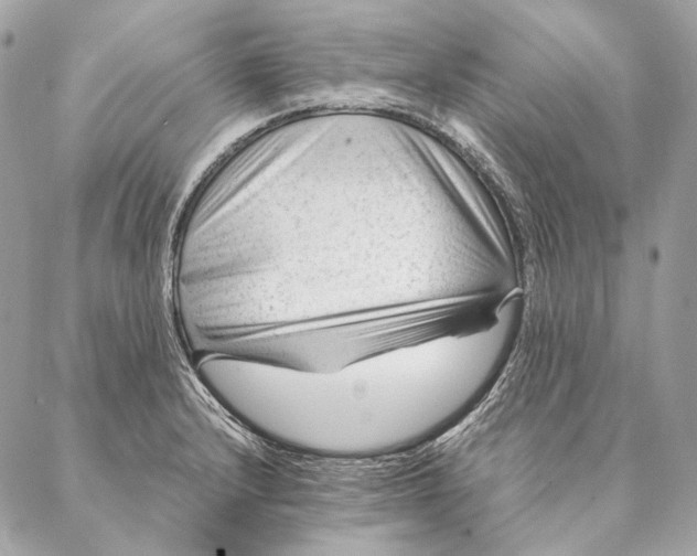 X0000087391232200705111752