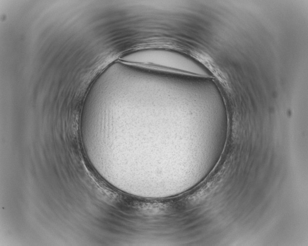 X0000087391233200705111752