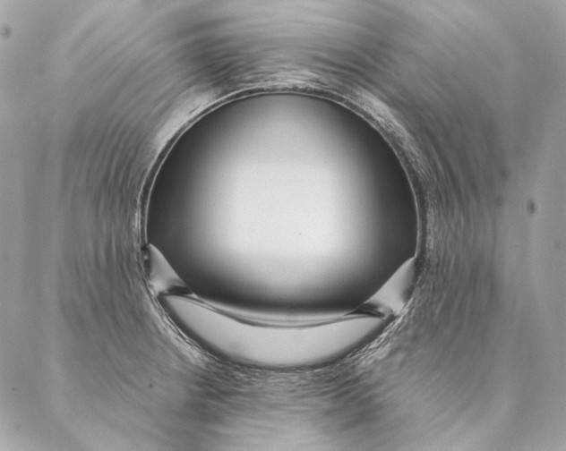 X0000087391234200705111752