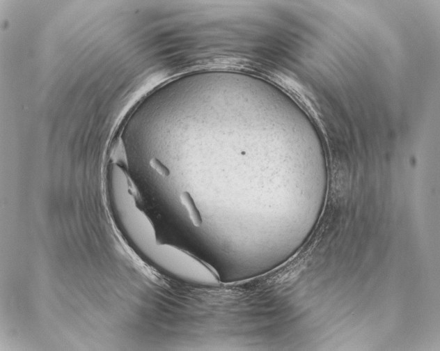 X0000087391235200705111752