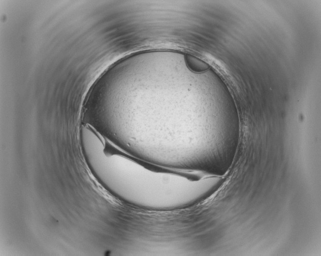 X0000087391236200705111752