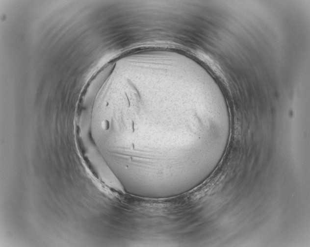 X0000087391237200705111752