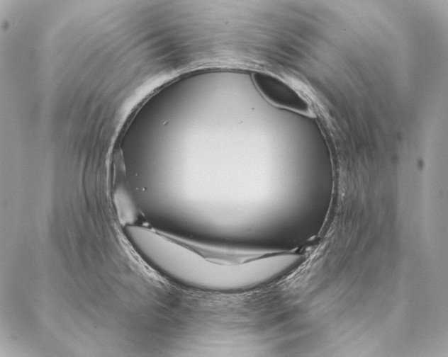 X0000087391238200705111752