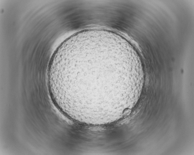 X0000087391239200705111752