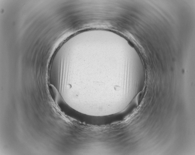 X0000087391240200705111752