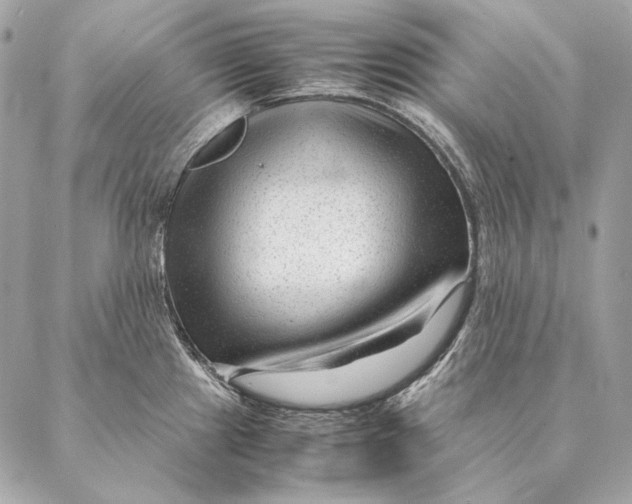 X0000087391241200705111752