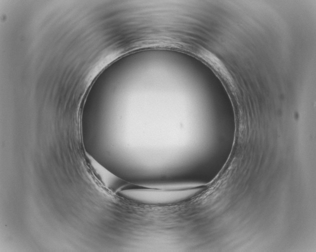 X0000087391242200705111752