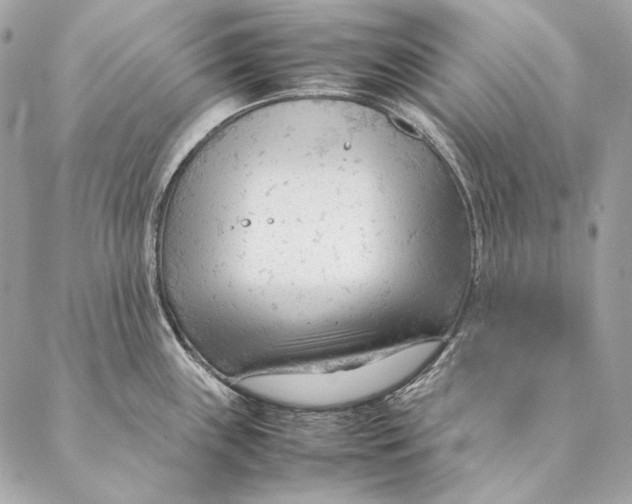 X0000087391243200705111752