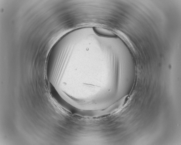 X0000087391244200705111752