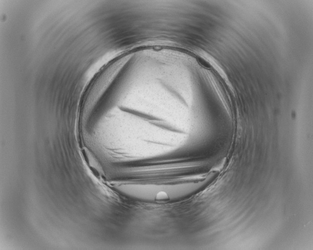 X0000087391245200705111753