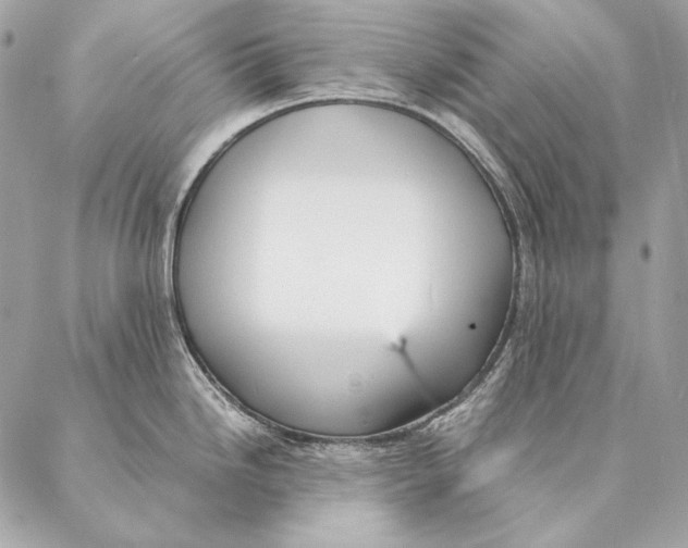 X0000087391246200705111753