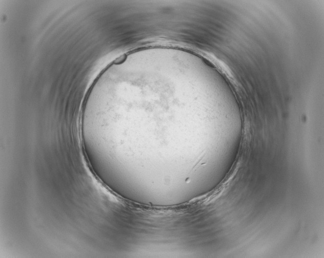 X0000087391247200705111753